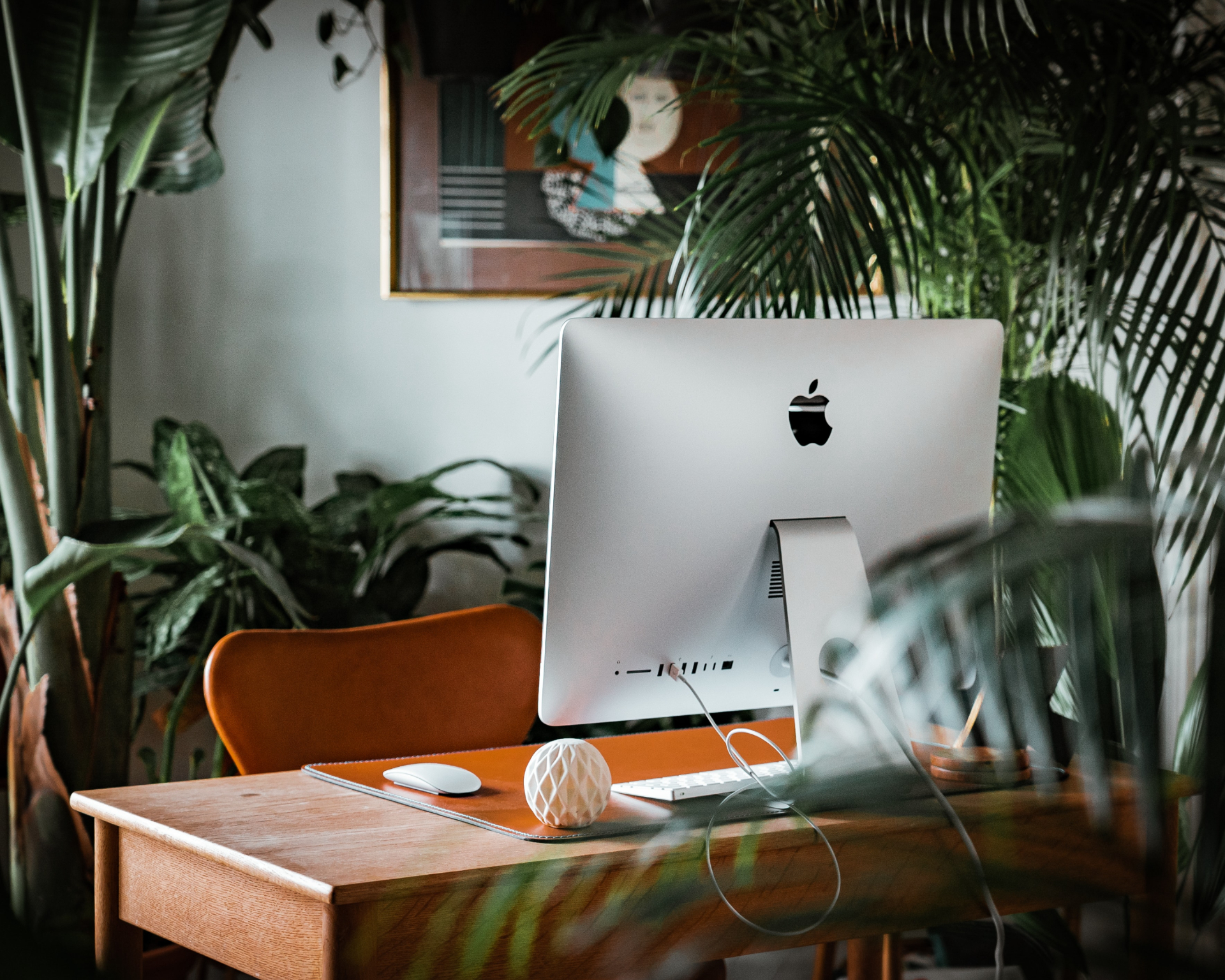 FOTO: Unsplash
